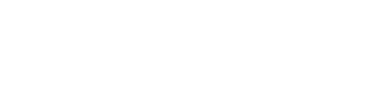Valores Logo